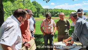 Für Generationen schützen - FDP Zollernalb besichtigt Waldhof-Areal bei Geislingen - Schwarzwälder Bote