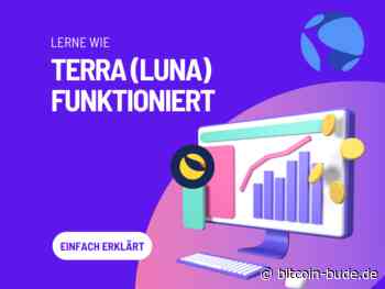 LUNA Coin: Wie Terra Luna & der UST Coin funktionieren - BitcoinBude
