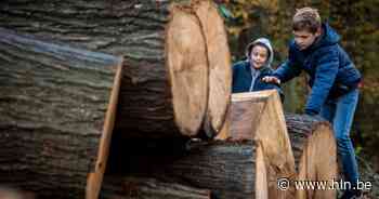 Sprookjesbos wordt Gravinnekespad: nieuw belevingspad opent zondag | Westerlo | hln.be - Het Laatste Nieuws