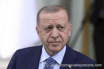 NATO chief: Dispute over Sweden, Finland will be resolved - Comox Valley Record