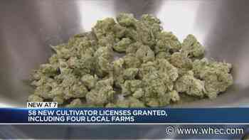 58 more conditional cannabis cultivator licenses approved