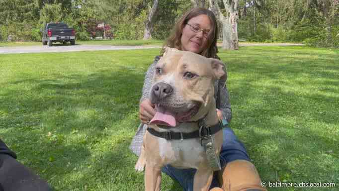 WJZ’s Furever Friend: Snuffy