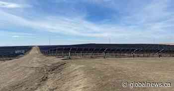 Massive solar project in southern Alberta nearly complete