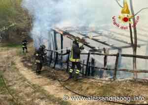 Saluggia: incendio lungo il canale De Pretis - Alessandria Oggi