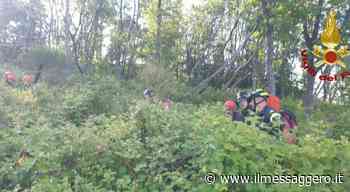 Rieti, escursionista si perde in un bosco: soccorso dai vigili del fuoco - ilmessaggero.it