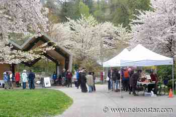 Explore, debate public space at Nelson event - Nelson Star