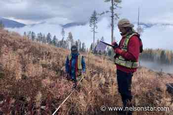 Stop clear-cutting, says forestry professor after research in West Kootenay – Nelson Star - Nelson Star