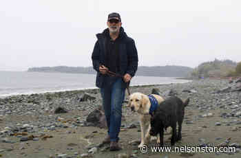 BC couple concerned about pooches consuming pot after dog's scary situation – Nelson Star - Nelson Star