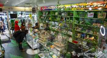 Want one of NY's first marijuana retail licenses? Regulators say to start preparing now. - Gothamist