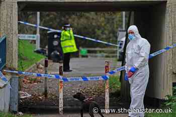 Musician faces life sentence for murdering teenager - St Helens Star