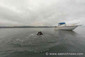 'Aquaman' crosses Saanich Inlet - Saanich News