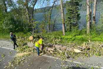 UPDATE: Almost 17000 without power on southern Vancouver Island, Gulf Islands – Saanich News - Saanich News