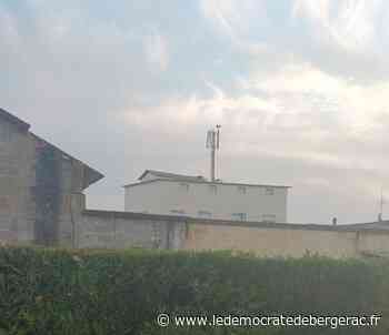 Bergerac : une cigogne aperçue sur le toit d'une résidence - Le démocrate indépendant