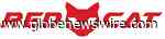 Red Cat Holdings to Present at the HC Wainwright Global Hybrid Conference - GlobeNewswire