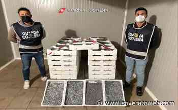 Sequestrata dalla Guardia Costiera mezza tonnellata di “bianchetto” - Soverato Web