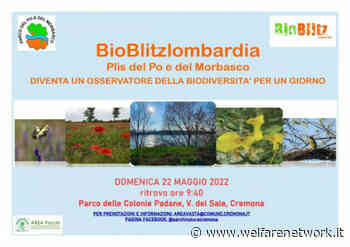 Cremona Domenica 22 maggio “BioBlitz” nel Parco del Po e del Morbasco - WelfareNetwork