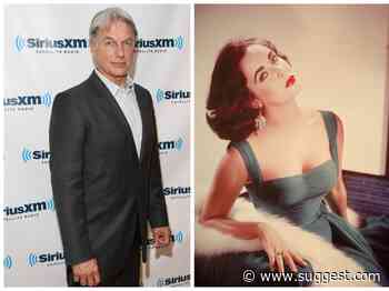 Mark Harmon Recalls The Time He Thought Elizabeth Taylor Was Going To Get Him Fired From A Movie - Suggest