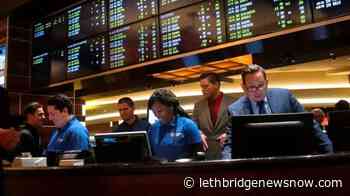 Survey: Basketball is the sport of choice for bettors in Ontario - Lethbridge News Now