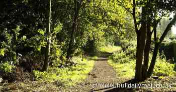 Doting Hull dad's death was a 'cry for help', his family insist - Hull Live