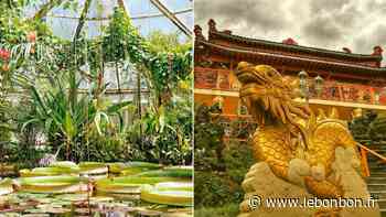 7 lieux dépaysants qui font voyager à découvrir absolument à Lyon - Le Bonbon