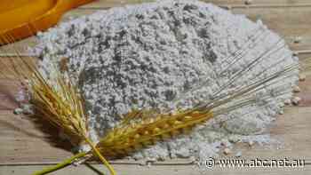 'State-of-the-art' flour mill in Ballarat to create hundreds of jobs in construction, manufacturing