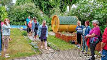 Kneipp-Kita „Benjamin-Blümchen“ in Wittenberg präsentiert sich stolz - Mitteldeutsche Zeitung