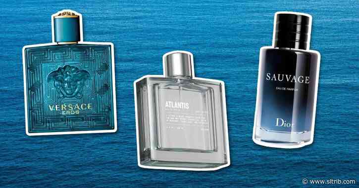 22 Best-selling colognes (ranked & reviewed)