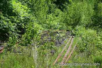 A corporate merger stands in the way of a Brewer rail trail becoming a reality - Bangor Daily News