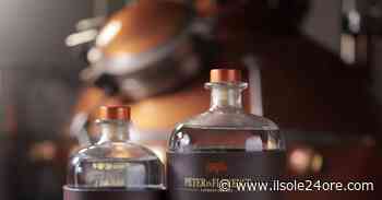 Peter in Florence: botaniche e distilleria a km zero per il London Dry Gin toscano - Il Sole 24 ORE