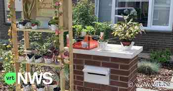 Gespot in Aarschot: een ruilkast voor planten en zaadjes - VRT NWS