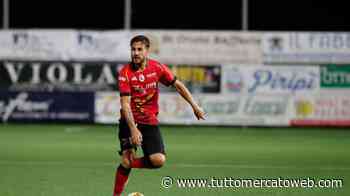 Il Bari torna su Tascone? L'agente: "Ora c'è più apertura della Turris per una trattativa" - TUTTO mercato WEB