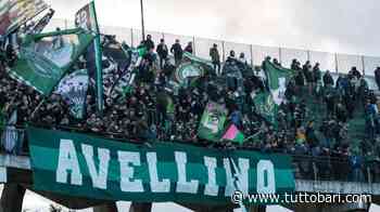 Avellino, spunta il nome di un ex Bari per la panchina - BARI CALCIO