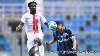 Bari, la ristrutturazione per la B parte dall'attacco. Oltre a Donnarumma fari puntati su Tsadjout - TUTTO mercato WEB