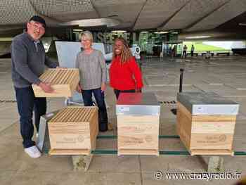 Meaux : Le Rotary Club de Meaux fait un don de trois ruches ! - CRAZY RADIO