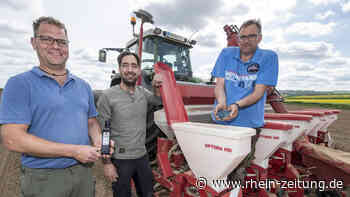 Landwirt probiert Neues aus: Viel Aufwand für feines Kürbiskernöl - Rhein-Zeitung