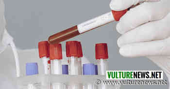 Coronavirus Basilicata, ultimissimo aggiornamento: 317 nuovi positivi di cui 19 a Melfi, 8 a Lavello, 10 a Venosa e 7 a Rionero. Ecco i dati comune per comune - vulturenews.net