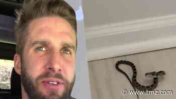 'Bachelorette' Star Shawn Booth Freaked Out After Wild Snake Goes Missing in His House