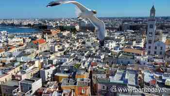 Weekend a Bari e provincia: gli eventi del 14 e 15 maggio 2022 - BariToday