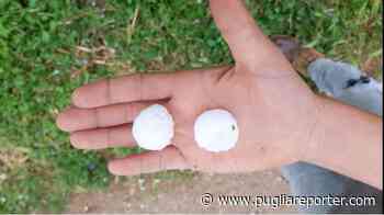 Puglia: "grandine grande quanto noci" distrugge coltivazioni nel foggiano. "Anteprima" dell'ennesimo periodo climatico estremo? Le foto diffuse da Coldiretti - - Puglia Reporter Notizie