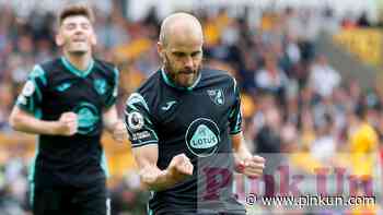 Norwich City: Chris Sutton on Teemu Pukki future - PinkUn