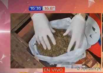 Allanan un presunto foco de distribución de drogas en Asunción - NPY