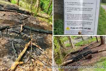 Warning over 'danger' campfires in woodland