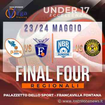Si disputeranno a Francavilla Fontana le final four U17 Eccellenza: ospita la Fortitudo Basket - Lo Strillone News