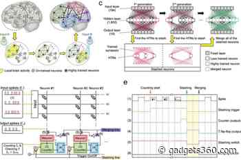 Researchers Propose Energy-Efficient AI Hardware Technology Inspired by Brain's Neuromodulation Capacity