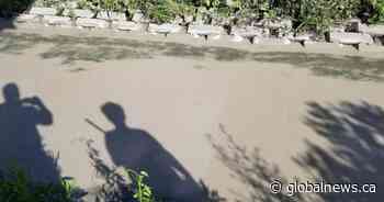 Laval, Que. residents, environment groups demand solution to river contamination - Montreal | Globalnews.ca - Global News