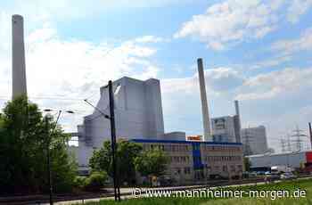 Zwei von vier Blöcken im GKM Mannheim laufen noch immer nicht - Wirtschaft - Mannheimer Morgen