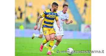 Chi vorresti come nuovo allenatore del Parma? Vota qui - Sondaggio - Gazzetta di Parma