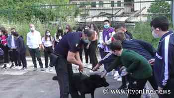 Solofra, al "Guarini" gli alunni incontrano le unità cinofile - Irpinia TV