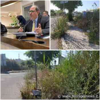 Crotone: Enrico Pedace denuncia lo stato di abbandono di viale Stazione - Fantapol News