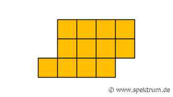Hemmes mathematische Rätsel: Wie kann man die Figur in drei deckungsgleiche Teile zerlegen? - Spektrum.de